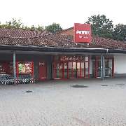PENNY - GALLERY