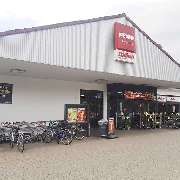PENNY - GALLERY