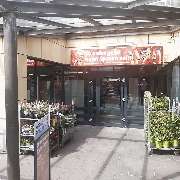PENNY - GALLERY