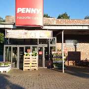 PENNY - GALLERY