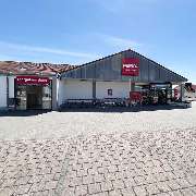 PENNY - GALLERY