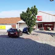 PENNY - GALLERY