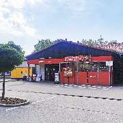 PENNY - GALLERY