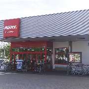PENNY - GALLERY
