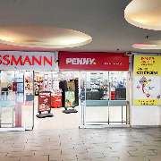 PENNY - GALLERY