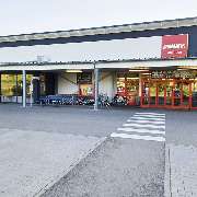PENNY - GALLERY