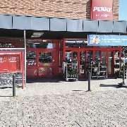 PENNY - GALLERY