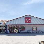 PENNY - GALLERY