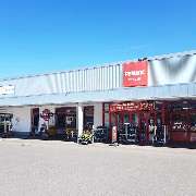 PENNY - GALLERY
