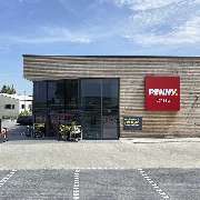 PENNY - GALLERY