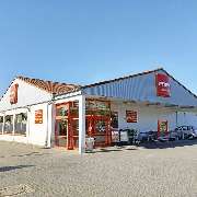 PENNY - GALLERY