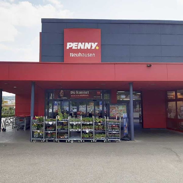 PENNY - GALLERY