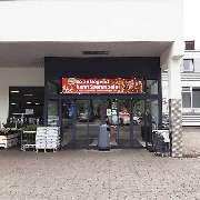 PENNY - GALLERY