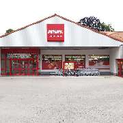 PENNY - GALLERY