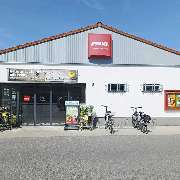 PENNY - GALLERY