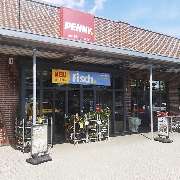 PENNY - GALLERY