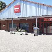 PENNY - GALLERY