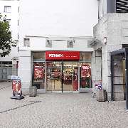 PENNY - GALLERY