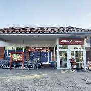 PENNY - GALLERY
