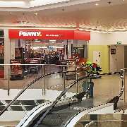 PENNY - GALLERY