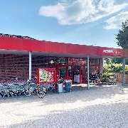 PENNY - GALLERY