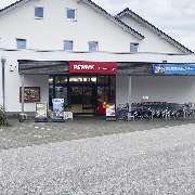 PENNY - GALLERY