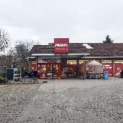 PENNY - GALLERY