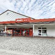 PENNY - GALLERY