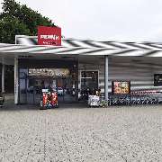 PENNY - GALLERY