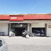 PENNY - GALLERY