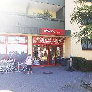 PENNY - GALLERY