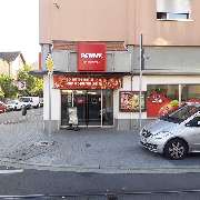 PENNY - GALLERY