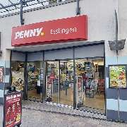 PENNY - GALLERY