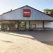 PENNY - GALLERY