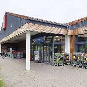 PENNY - GALLERY