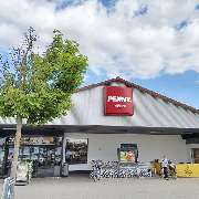 PENNY - GALLERY