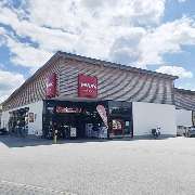 PENNY - GALLERY