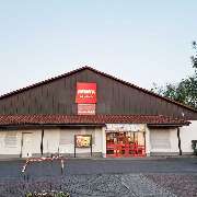 PENNY - GALLERY