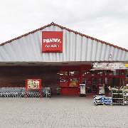 PENNY - GALLERY
