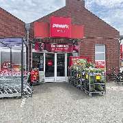 PENNY - GALLERY