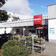 PENNY - GALLERY