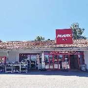 PENNY - GALLERY