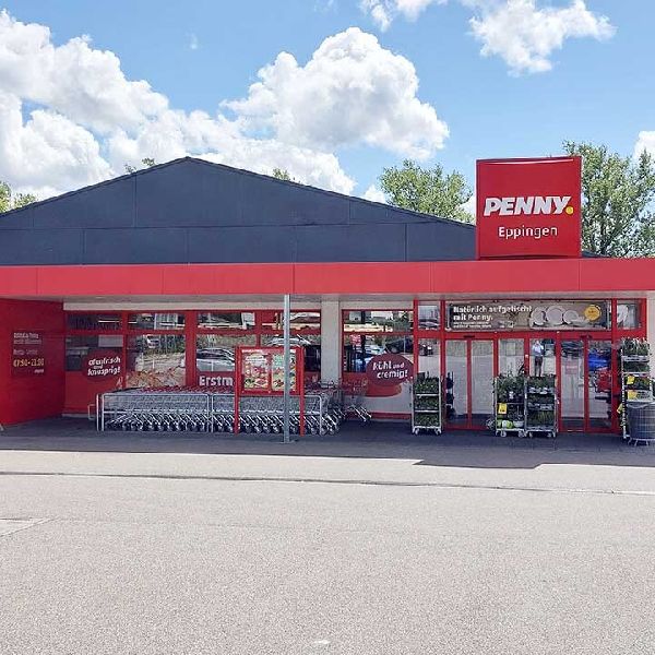 PENNY - GALLERY