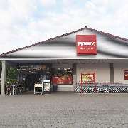 PENNY - GALLERY