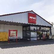 PENNY - GALLERY