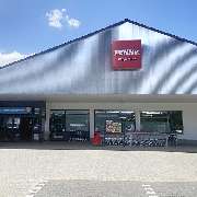 PENNY - GALLERY