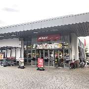 PENNY - GALLERY