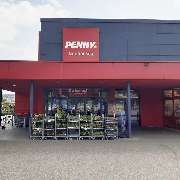 PENNY - GALLERY
