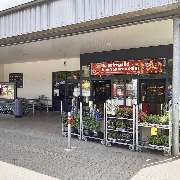 PENNY - GALLERY