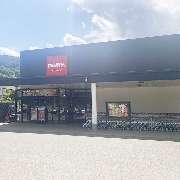 PENNY - GALLERY